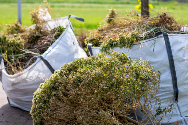 Best Household Junk Removal  in Murphy, NC